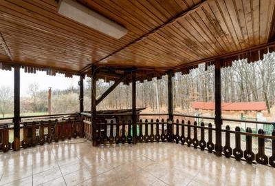 0% Comision !! CASA CU LAC SI PRIVELISTE SUPERBA SPRE PA - 8