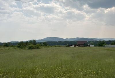 Spațiu comercial, în Nemțișor - 2