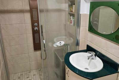 Casa de vanzare - Central(Bulevardul Castanilor) - 9