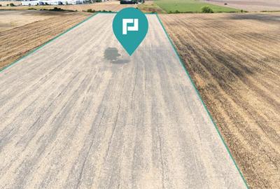 Oportunitate! Teren 4.345 mp Sagului - 9