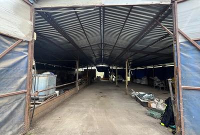 Oferta de vanzare ferma: hala de 500 mp.+teren 6500 mp, Frata, 69900 EURO - 2