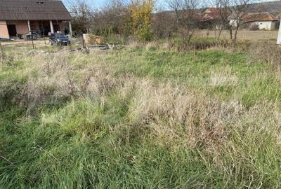 Teren intravilan Varsolt in suprafata de 400mp si 1200 mp ex - 2