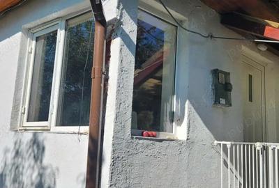 APUSENI! Casa modernizata cocheta, teren imens langa padure, Brad (Hd) - 2