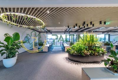 Spațiu de birouri 68 mp în clădire nZEB - clasa A++, zona Cibin, Sibiu - 1