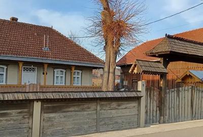 Casă cu 5 camere cu Teren 3500 Mp în Arbore - 1