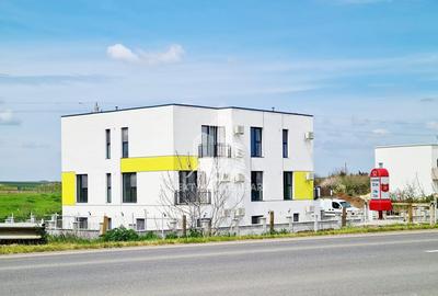 Studio Vama Veche - 6