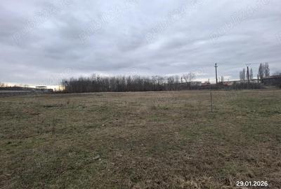 Spațiu comercial, în Dumbrăvița - 1