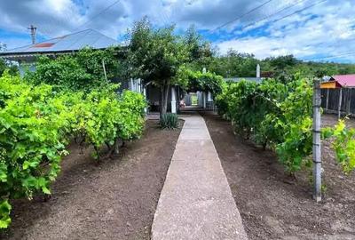 Casă cu 4 camere cu Teren 690 Mp în Tecuci - 2