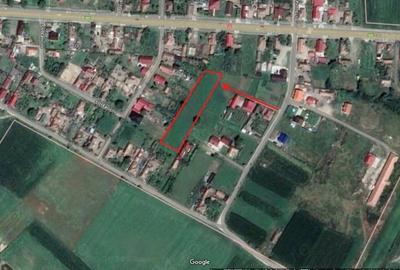 Teren de 3000 mp, în Hădăreni - 2