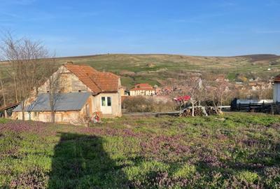 Oportunitate: teren intravilan 2500 m2 cu proiect de tiny house aprobat! - 1