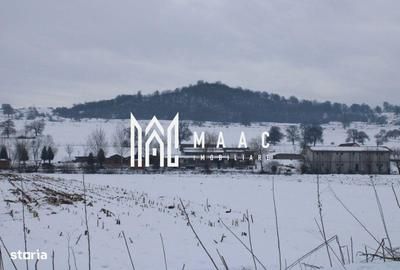 Teren de 8000 mp, în Ucea - 2