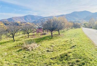 Teren intravilan de 1000 mp, în Sibiel - 2