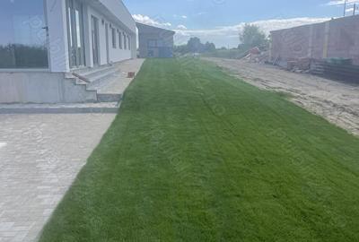 Casă cu 3 camere cu Teren 2832 Mp în Apa - 1