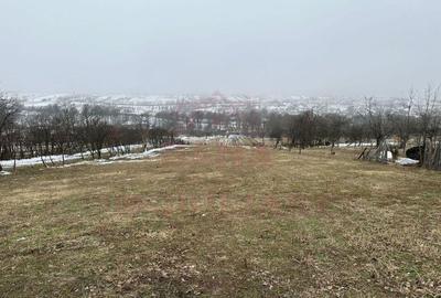 CASA DE VINZARE IN ILOVA\7 CAMERE, JUD.CARA?-SEVERIN - 17