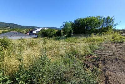 Teren in suprafa?a de 1100 mp, pe strada Crasnei - 3