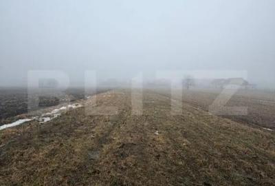 Teren de 2500 mp, în Central