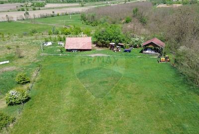 Domeniu - 66 Hectare - Teren deosebit Copsa Mica cu desch... - 11