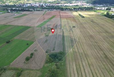 Teren agricol intravilan de 1180 mp, în Sud - 4