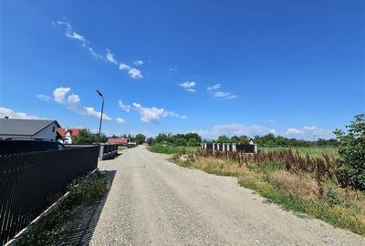Teren intravilan, 1.600 mp, Serbanesti (LIDL) - 3
