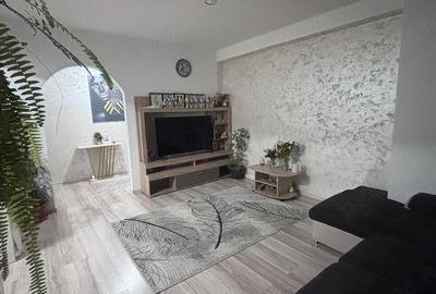 Apartament cu 2 camere semidecomandat în Ozana - 10