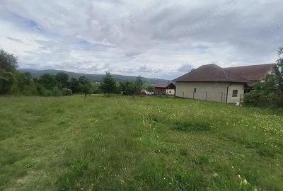 Teren intravilan 7759 mp in Curtea de Arges zona Noaptes - 1