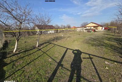 Casă cu 3 camere decomandat cu Teren 1259 Mp în Central - 13