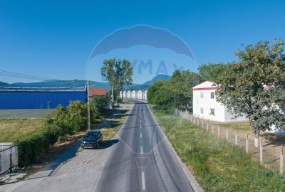 Teren Industrial, 3300 mp,  / DJ 112D, Carpinis - 3