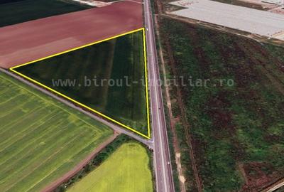 Teren Intravilan 4,5 ha – Poziție Strategică vis-à-vis de Aeroportul MK - 2