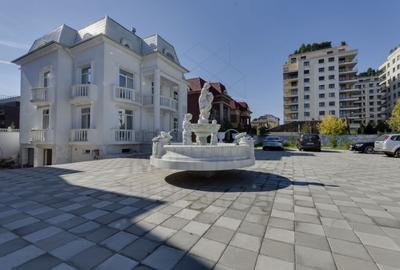 Casă individuală cu 14 camere cu Canalizare în Herăstrău - 7