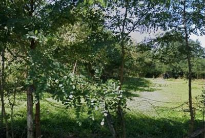Teren de 2885 mp, în Valea - 3