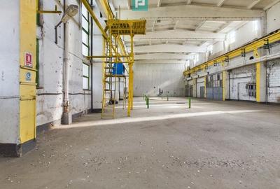 Spatiu industrial hala depozit 740 mp Drumul Taberei, Sector 6 - 4