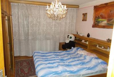 Casă cu 3 camere cu Teren 1689 Mp în Pădureni - 8