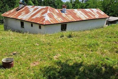 Spațiu comercial, în Bercești - 12