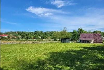 Teren de 1743 mp, în Tisău