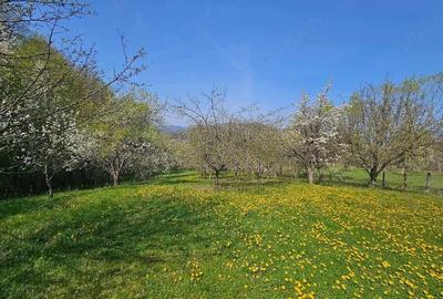 Teren de 3000 mp, în Dăești - 1
