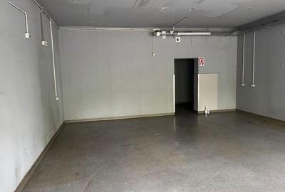 Zona Camil Ressu, Nicolae Grigorescu, Pallady - 2