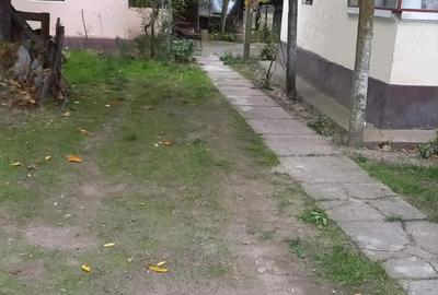 Casă cu 5 camere în Jiana - 2