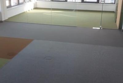2 spatii de inchiriat - 11