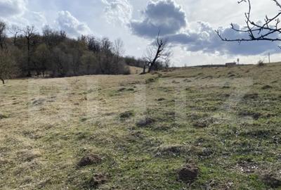 Teren de 7500 mp, în Central - 6