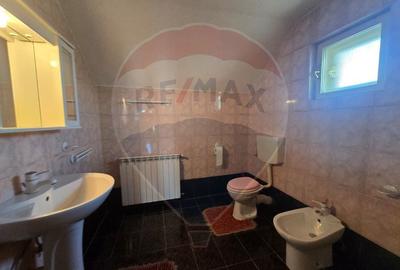 Casă cu 7 camere cu Teren 5175 Mp în Vințu de Jos - 11