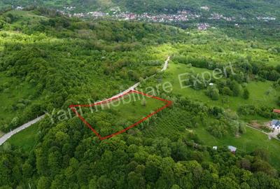 Teren de vanzare in comuna Corbi, jude? Arge?. - 5