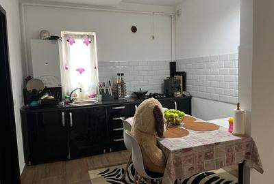 Sanandrei Apartament 3 camere Mobilat si Utilat Et 1 - 10