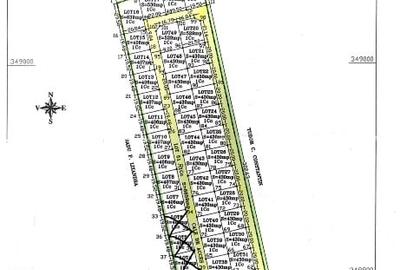 TEREN INTRAVILAN INVESTITIE BALOTESTI PUZ APROBAT 25000MP LANGA PADURE - 2