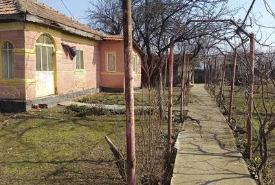 Casă cu Teren 1700 Mp în Roșioru - 2