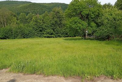 Cheia - Maneciu Ungureni - 1