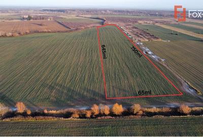 Teren agricol extravilan de 50890 mp, în Giroc - 1