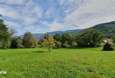 Teren de 2200 mp, în Sălciua - 8