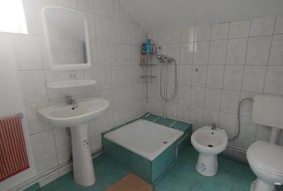 Casă cu Teren 1680 Mp în Govăjdia - 7