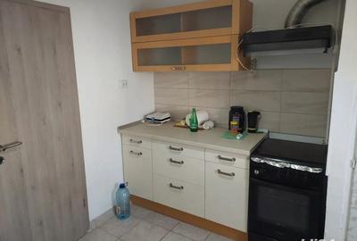 Apartament Buzias - 2