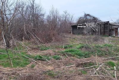 Spațiu comercial, în Dragalina - 1